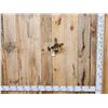 Image 1 : 12" Perch Real Skin Fish Taxidermy