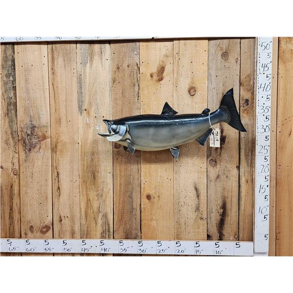 36" King Salmon Real Skin Fish Taxidermy