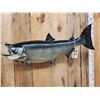 Image 3 : 36" King Salmon Real Skin Fish Taxidermy