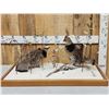 Image 1 : Pair Of Grouse In Winter Scene Bird Taxidermy