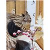 Image 7 : Pair Of Grouse In Winter Scene Bird Taxidermy
