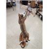 Image 9 : Bobcat Leaping For A Pheasant Full Body Taxidermy Mount