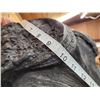 Image 9 : Trophy Class 42" Wide Cape Buffalo Shoulder Mount Taxidermy