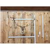 Image 1 : Big Caribou Shoulder Mount Taxidermy
