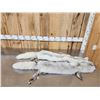 Image 1 : 2 Blue Ranch Fox Soft Tanned Furs Taxidermy