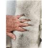Image 3 : 2 Blue Ranch Fox Soft Tanned Furs Taxidermy