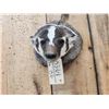 Image 3 : Badger Head Mount Taxidermy