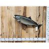 Image 1 : 37" Salmon Real Skin Fish Taxidermy