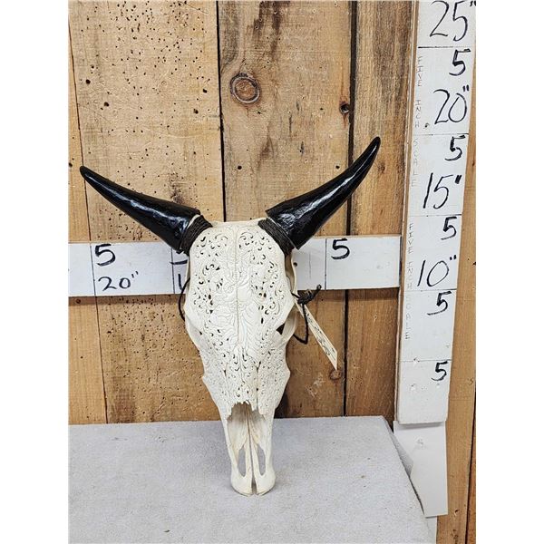 Hand Carved Zebu Skull Taxidermy