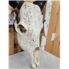 Image 3 : Hand Carved Zebu Skull Taxidermy