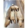 Image 4 : 2 Badger Soft Tanned Furs Taxidermy