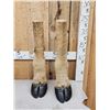 Image 1 : Pair Of Taxidermy Giraffe Legs