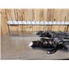 Image 3 : 2 Silver Ranch Fox Soft Tanned Furs Taxidermy