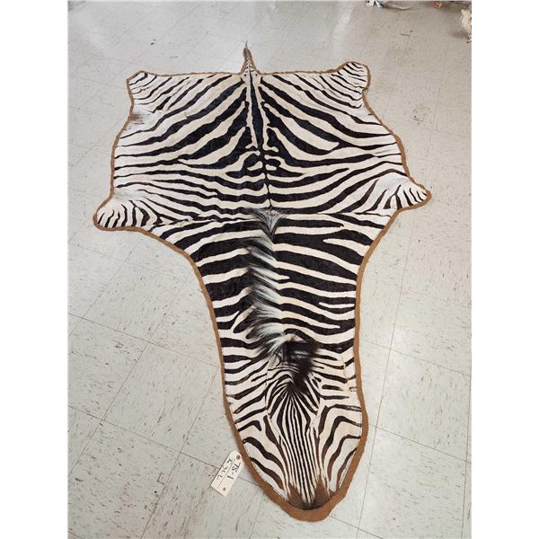 Zebra Rug Taxidermy