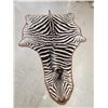 Image 1 : Zebra Rug Taxidermy