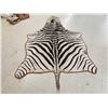 Image 3 : Zebra Rug Taxidermy