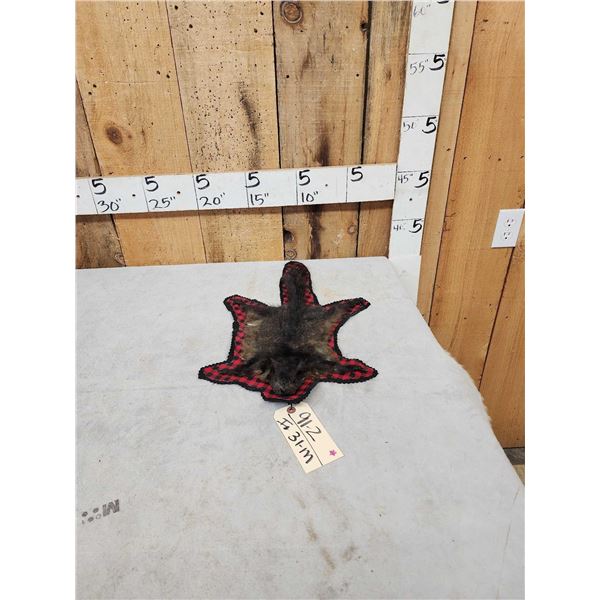 Unusual Black Squirrel Rug Taxidermy