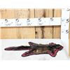 Image 6 : Unusual Black Squirrel Rug Taxidermy