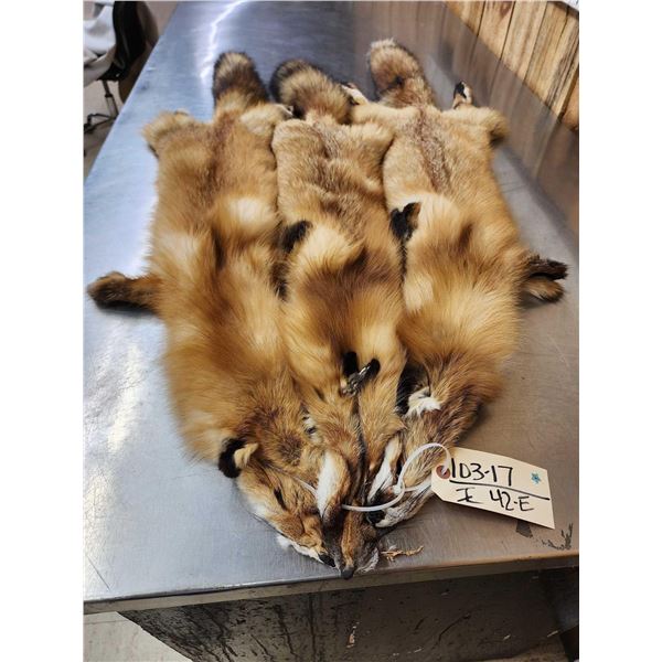 3 Red Fox Soft Tanned Furs Taxidermy