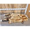 Image 2 : 3 Red Fox Soft Tanned Furs Taxidermy