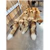 Image 3 : 3 Red Fox Soft Tanned Furs Taxidermy
