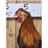 Image 3 : Rooster Chicken Full Body Taxidermy Mount