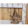 Image 1 : Pair Of Quail Full Body Bird Taxidermy