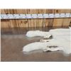 Image 3 : 2 Arctic Ranch Fox Soft Tanned Furs Taxidermy