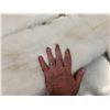 Image 4 : 2 Arctic Ranch Fox Soft Tanned Furs Taxidermy