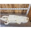 Image 5 : 2 Arctic Ranch Fox Soft Tanned Furs Taxidermy