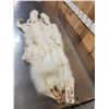 Image 6 : 2 Arctic Ranch Fox Soft Tanned Furs Taxidermy