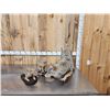 Image 1 : Mamma Coyote & 2 Babies Full Body Taxidermy Mount