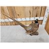 Image 4 : Ringneck Pheasant Full Body Bird Taxidermy