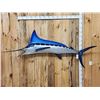 Image 1 : 104" Marlin Reproduction Fish Taxidermy