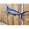 Image 5 : 104" Marlin Reproduction Fish Taxidermy