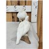 Image 3 : Pair Of Ptarmigan Full Body Bird Taxidermy
