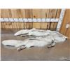 Image 2 : 2 Blue Ranch Fox Soft Tanned Furs Taxidermy