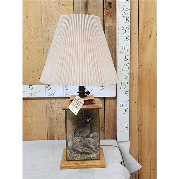 2 Quail In A Lamp Bird Taxidermy
