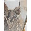 Image 6 : 2 Quail In A Lamp Bird Taxidermy