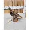 Image 3 : Ruffed Grouse Full Body Bird Taxidermy