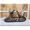 Image 1 : Pair Of Sparing Ringneck Pheasants Bird Taxidermy