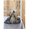 Image 6 : Pair Of Sparing Ringneck Pheasants Bird Taxidermy
