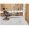 Image 1 : Ringneck Pheasant Full Body Bird Taxidermy