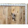 Image 1 : Ruffed Grouse Taking Flight Bird Taxidermy