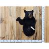 Image 1 : Black Bear Half Body Taxidermy Mount