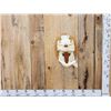 Image 1 : Wild Boar Hog Skull Taxidermy