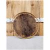 Image 3 : Two Beaver Hoops Taxidermy