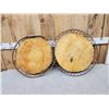 Image 4 : Two Beaver Hoops Taxidermy