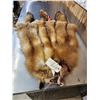 Image 1 : 3 Red Fox Soft Tanned Furs Taxidermy