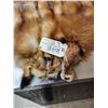 Image 2 : 3 Red Fox Soft Tanned Furs Taxidermy